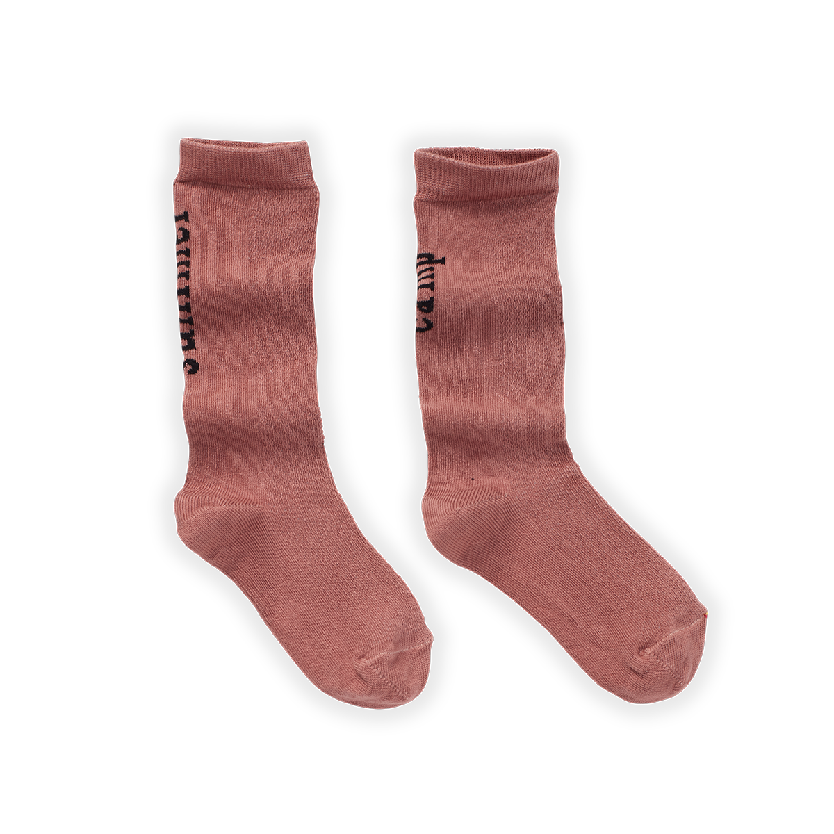 Knee-High Socks | SUMMER CAMP Orchid