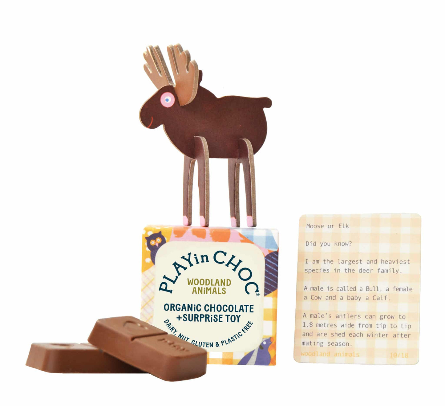 ToyChoc Box | WOODLAND ANIMALS