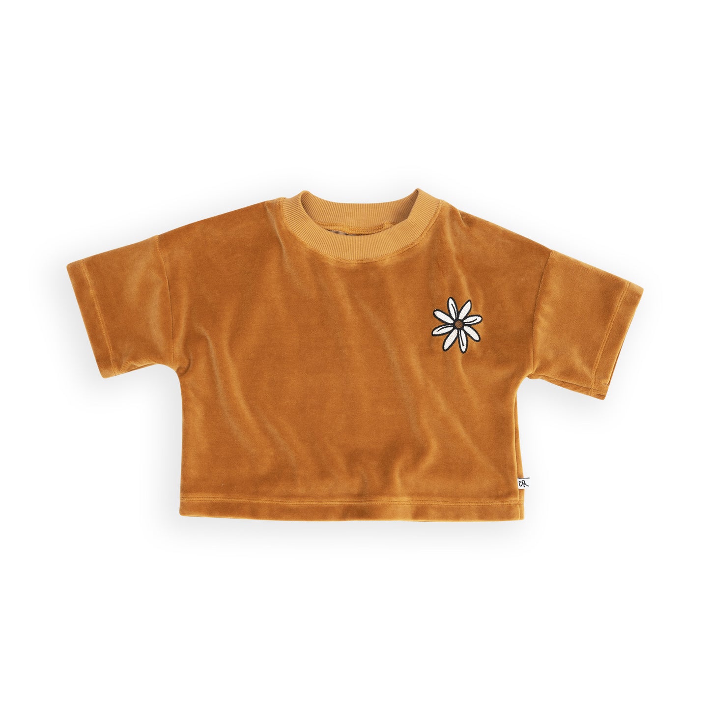 Velours Crop-Top mit Stickerei | FLOWER