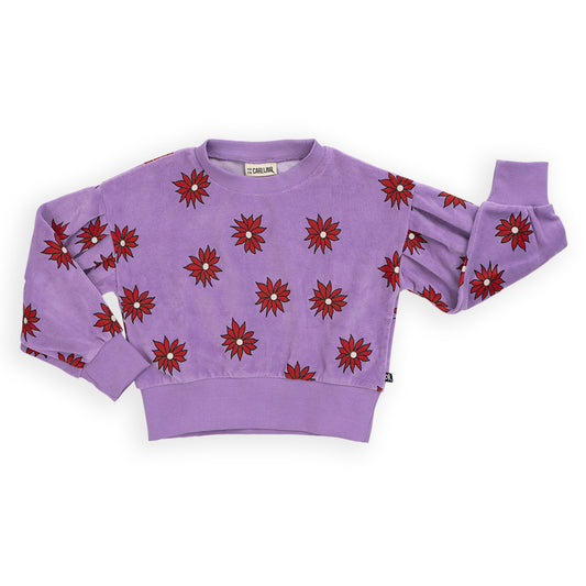 Velvet Sweatshirt puffed sleeves | DAHLIA