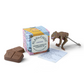 ToyChoc Box | Dinosaurs
